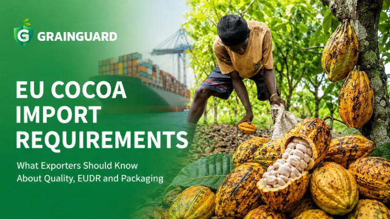 Exigences de l'UE en matière d'importation de cacao : ce que les exportateurs doivent savoir sur la qualité, l'EUDR et l'emballage